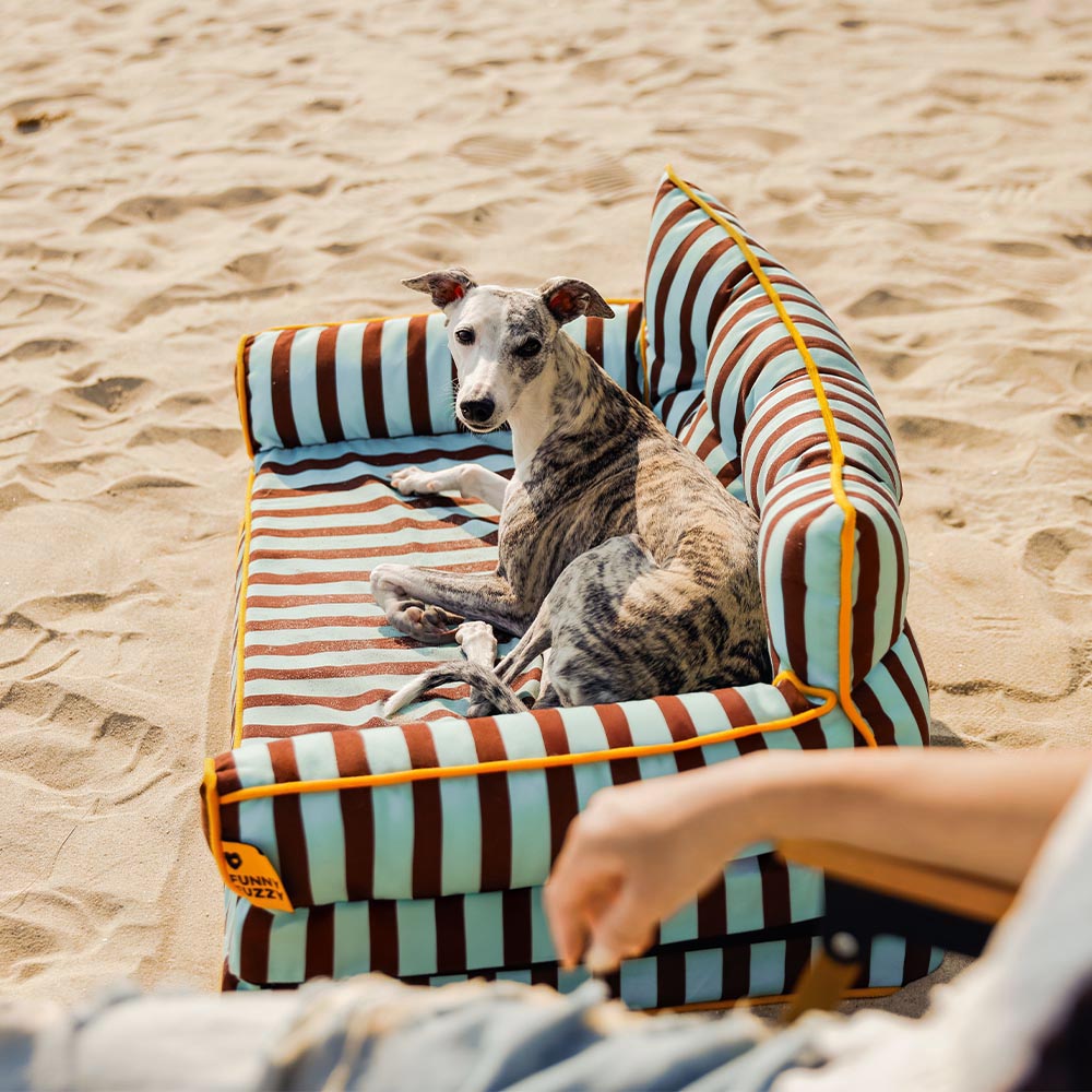 Letto per cani grande pieghevole e impermeabile Stripe - Sunny Siesta