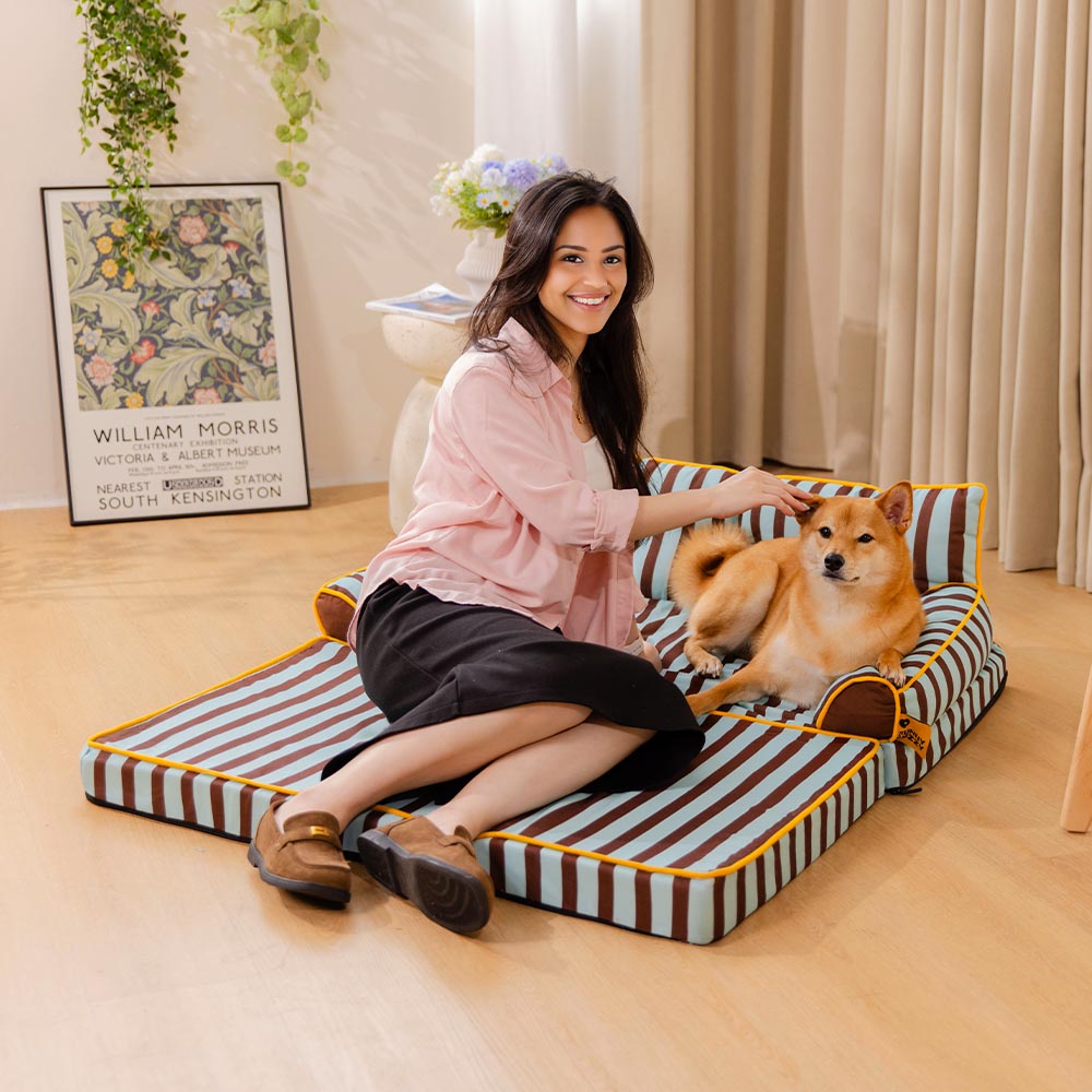 Letto per cani grande pieghevole e impermeabile Stripe - Sunny Siesta