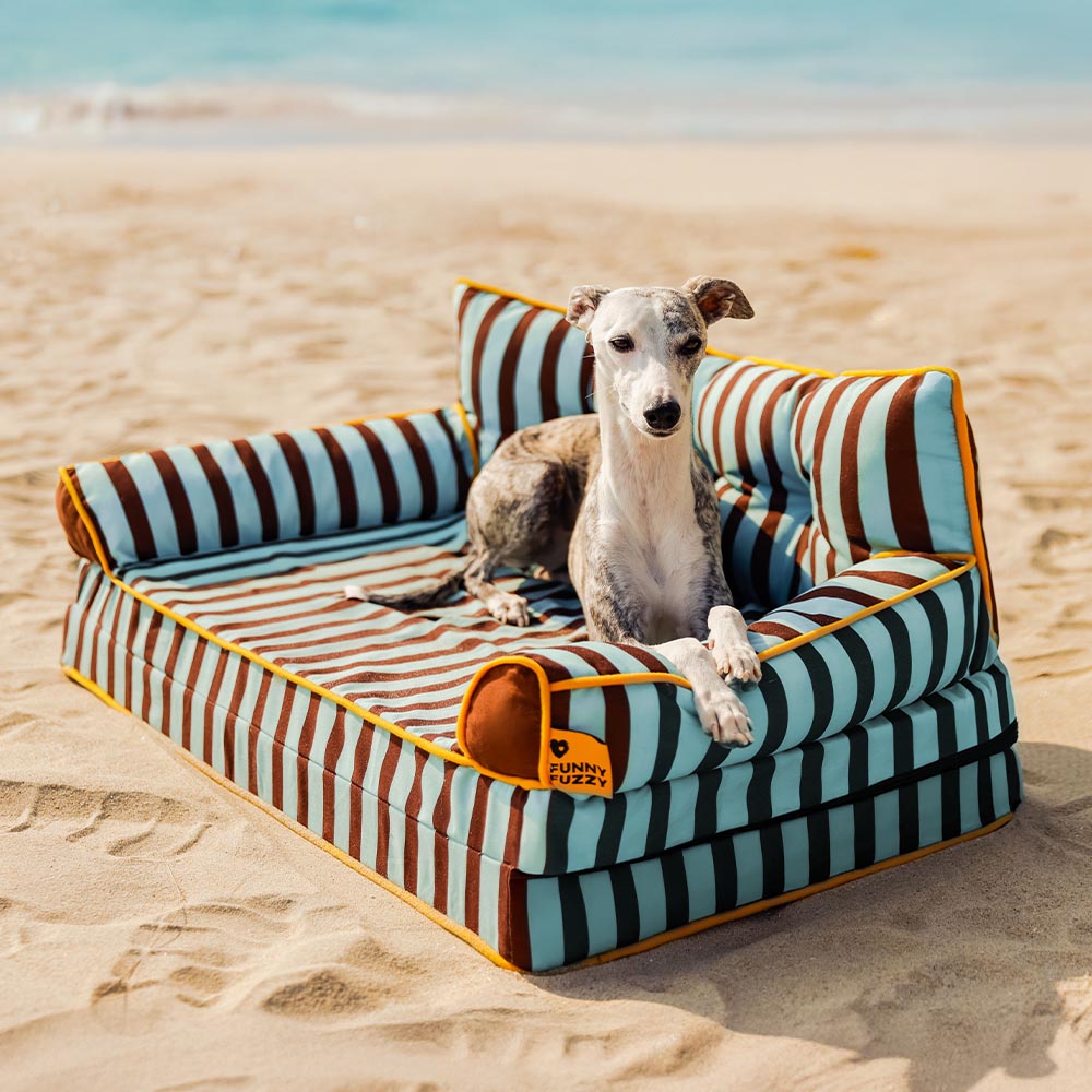 Letto per cani grande pieghevole e impermeabile Stripe - Sunny Siesta