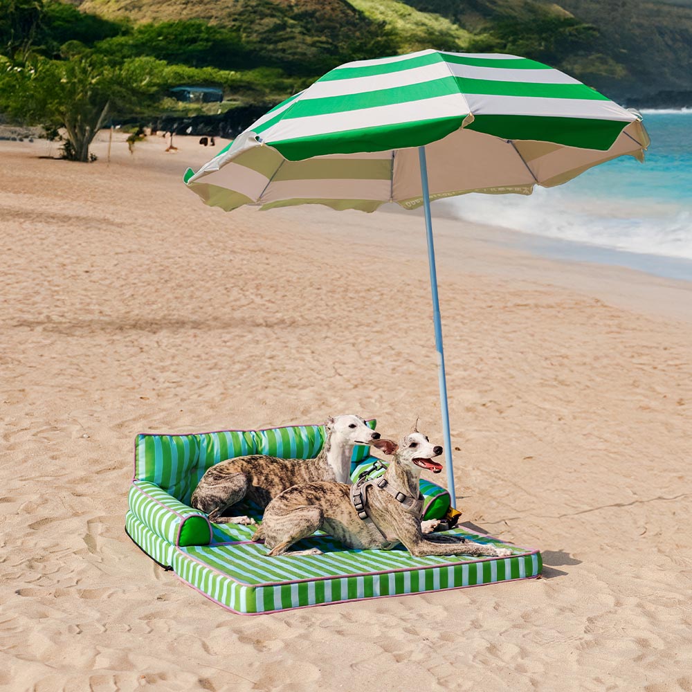 Letto per cani grande pieghevole e impermeabile Stripe - Sunny Siesta