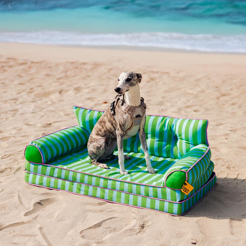 Letto per cani grande pieghevole e impermeabile Stripe - Sunny Siesta