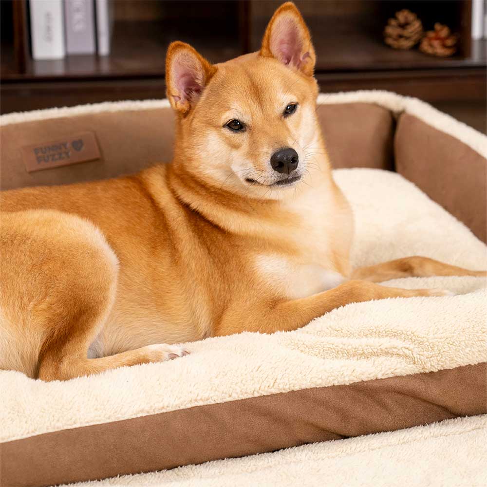 Letto per cani ergonomico espandibile e alla moda - Paws Tranquilli