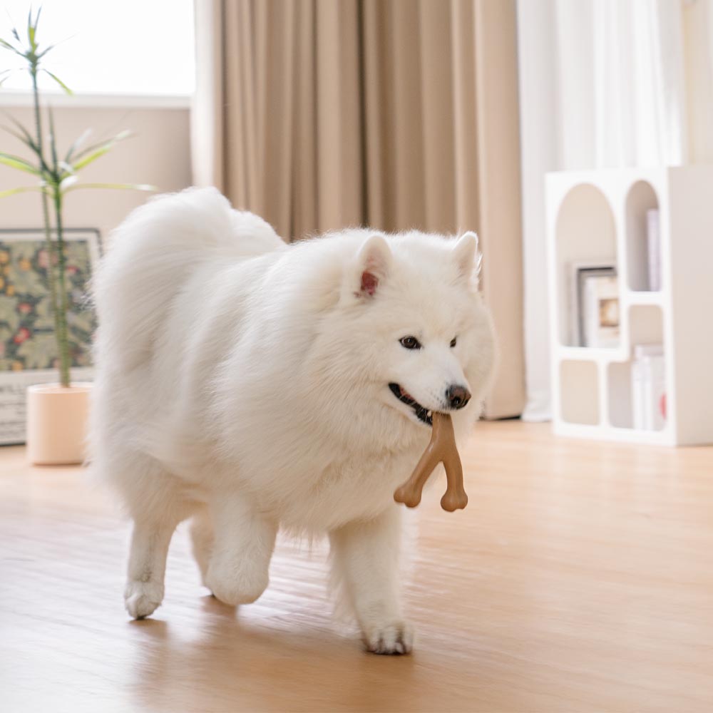 Giocattolo da masticare per cani a forma di ossa da dentizione - Gusto bacon