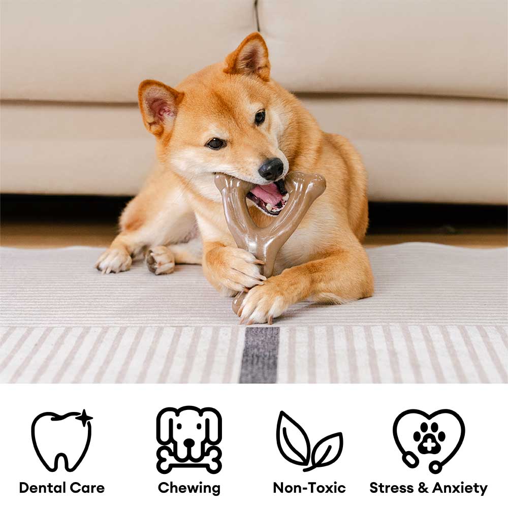 Giocattolo da masticare per cani a forma di ossa da dentizione - Gusto bacon