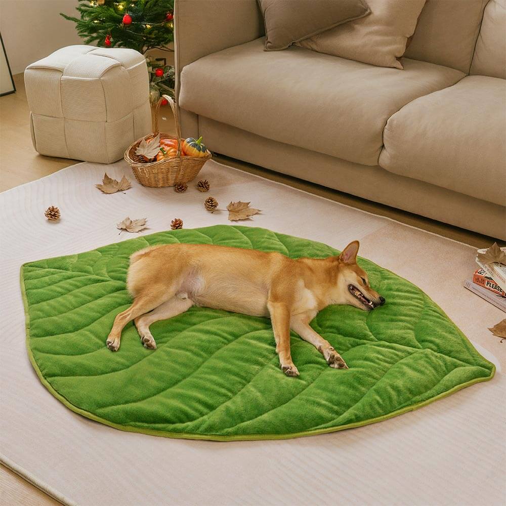 Tappetino per cani lavabile a forma di foglia - Il collezionista di foglie