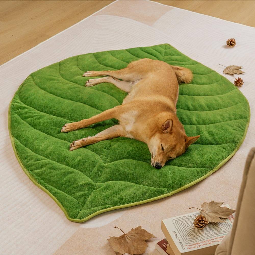 Tappetino per cani lavabile a forma di foglia - Il collezionista di foglie