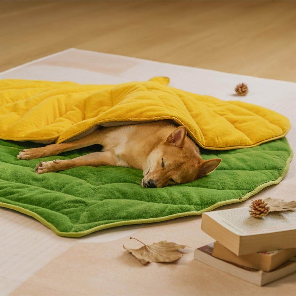 Tappetino per cani lavabile a forma di foglia - Il collezionista di foglie