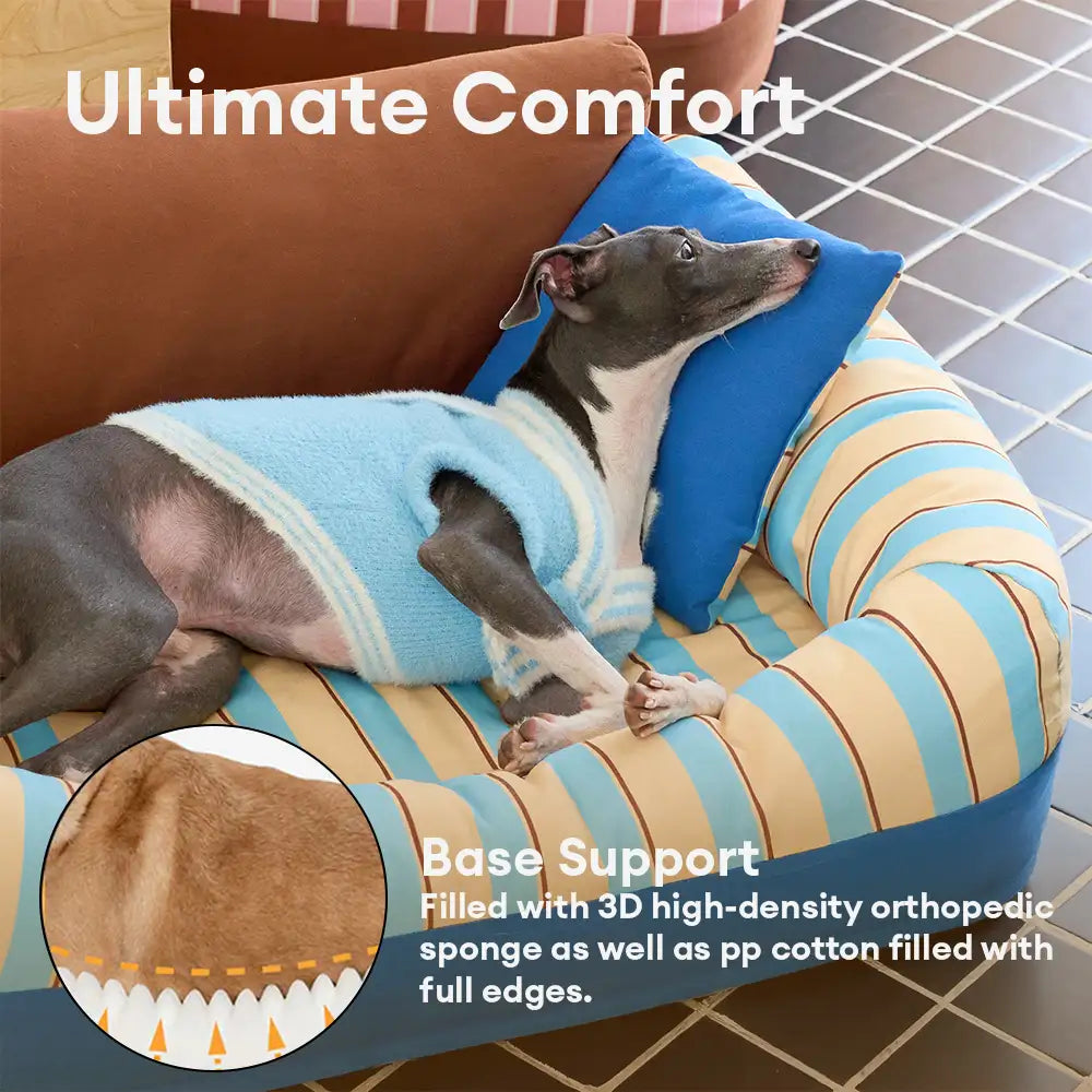 Divano Letto Ortodontico per Cani a Strisce Trendy e Confortevole - Divano Accogliente