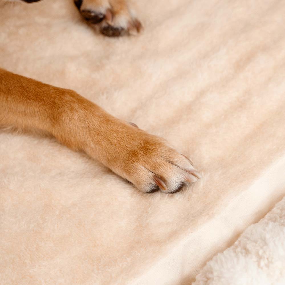 Letto per cani ortopedico a righe alla moda - Rifugio accogliente
