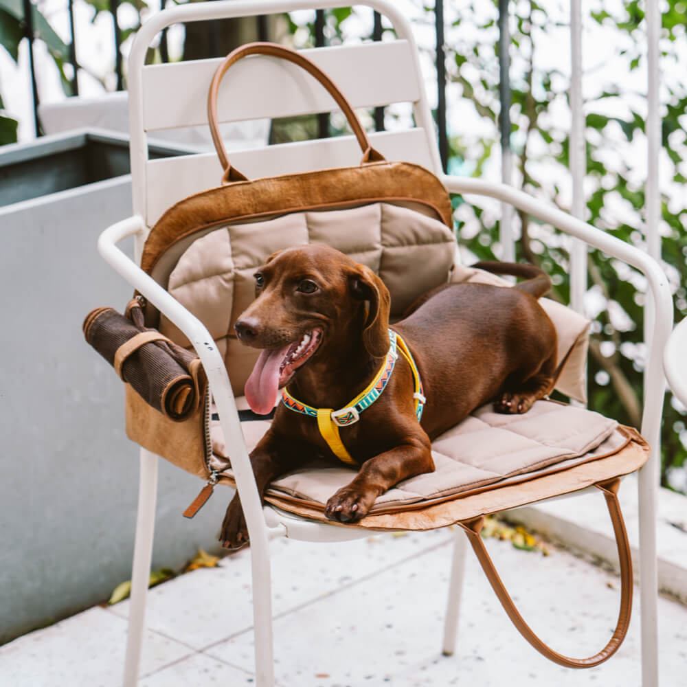 Borsa da viaggio per animali ecologica e multifunzionale Vogue - City Roamer