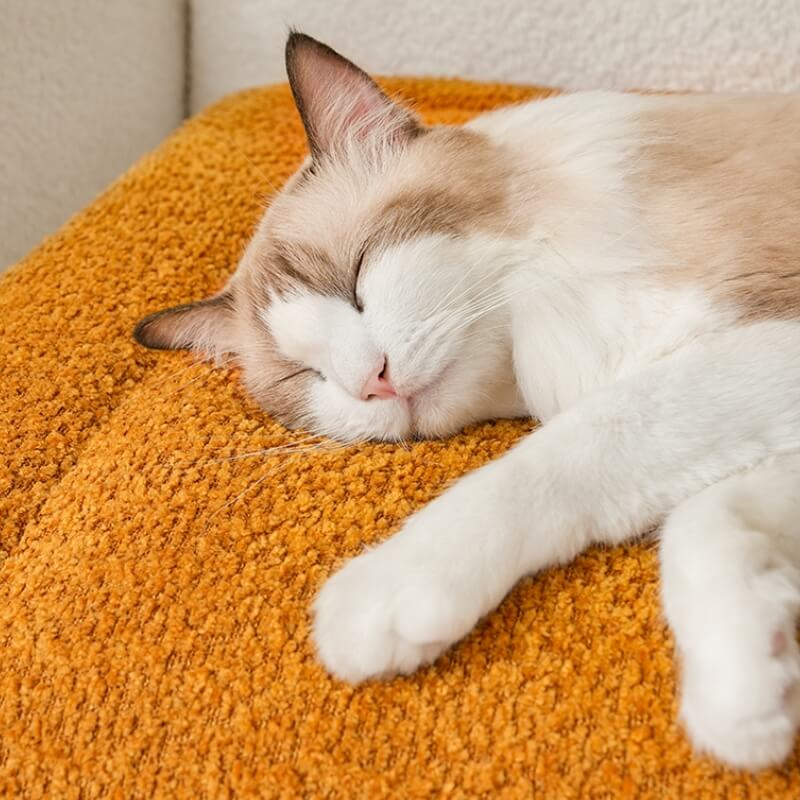 Tappetino per animali caldo, confortevole, antiscivolo e in pile.