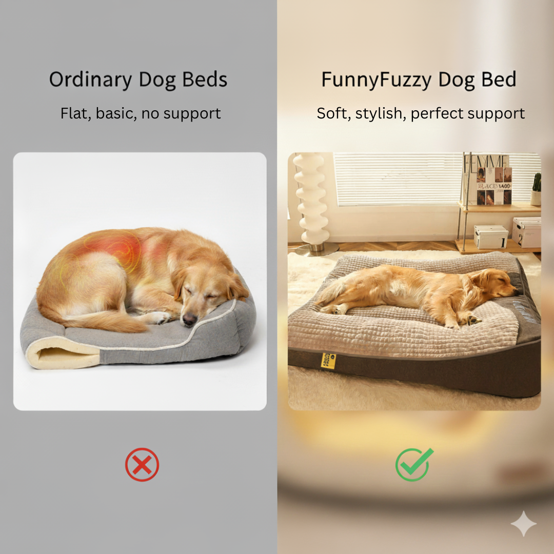 Cuscini per cani personalizzati con spine protettive spesse e resistenti ai graffi