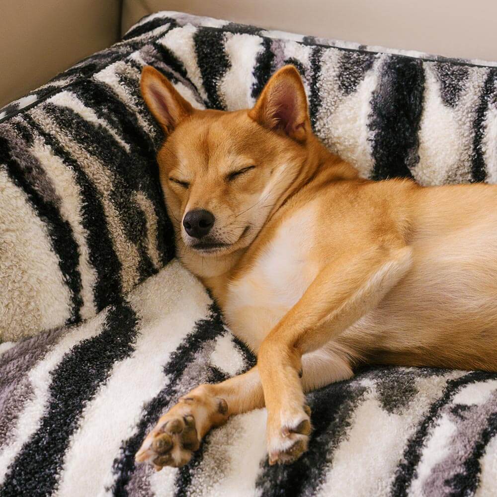 Copertura per divano in peluche nordico - PawLounge