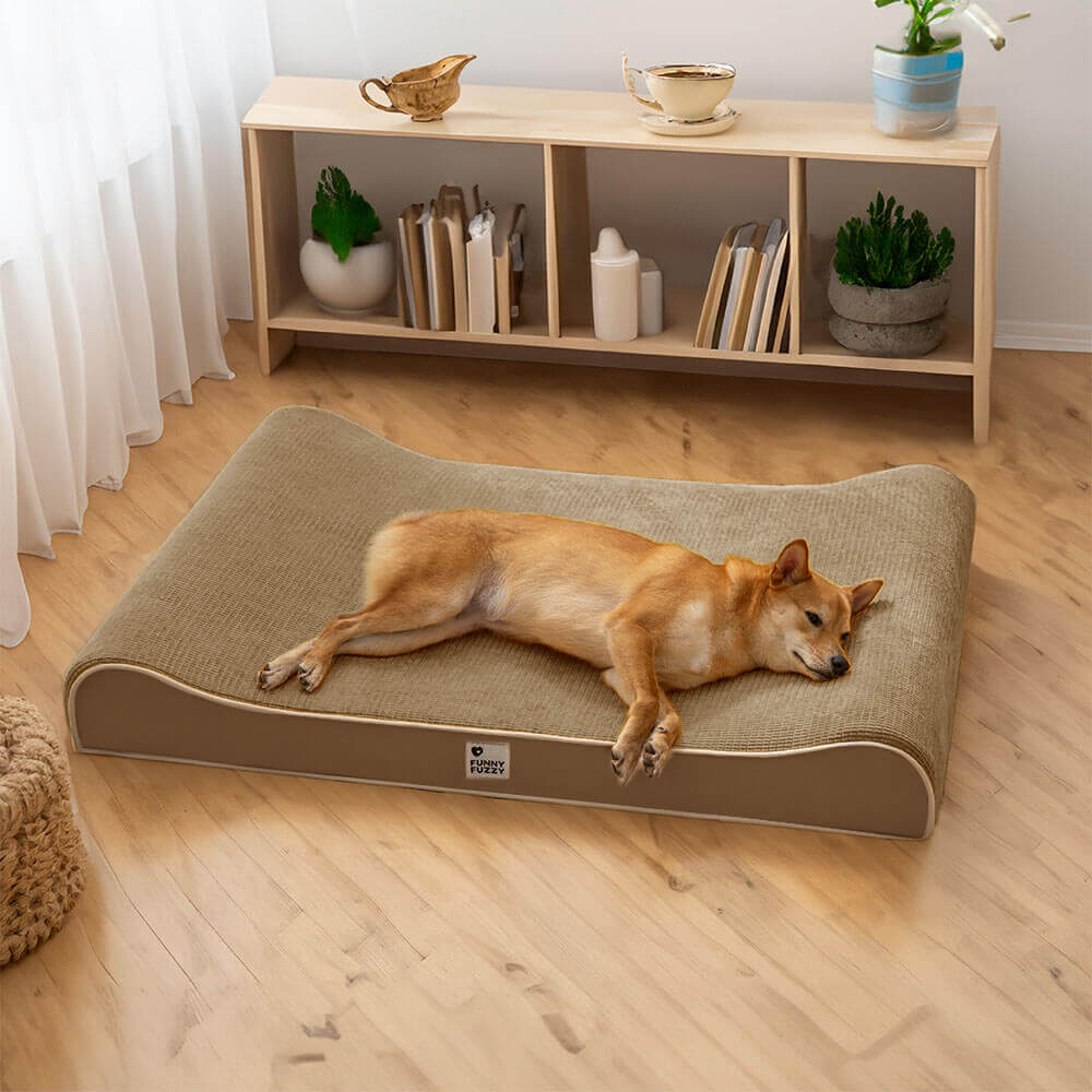 Poltrona Lounge per Cani di Lusso Nobiltà Letto Ortopedico per Cani