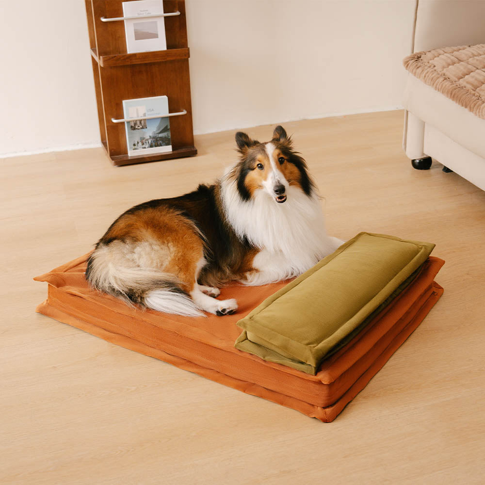 Letto per cani con supporto in spugna per il sonno profondo e anti-ansia
