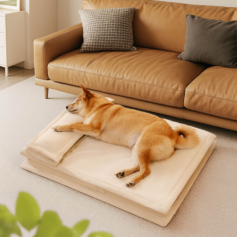 Letto per cani con supporto in spugna per il sonno profondo e anti-ansia