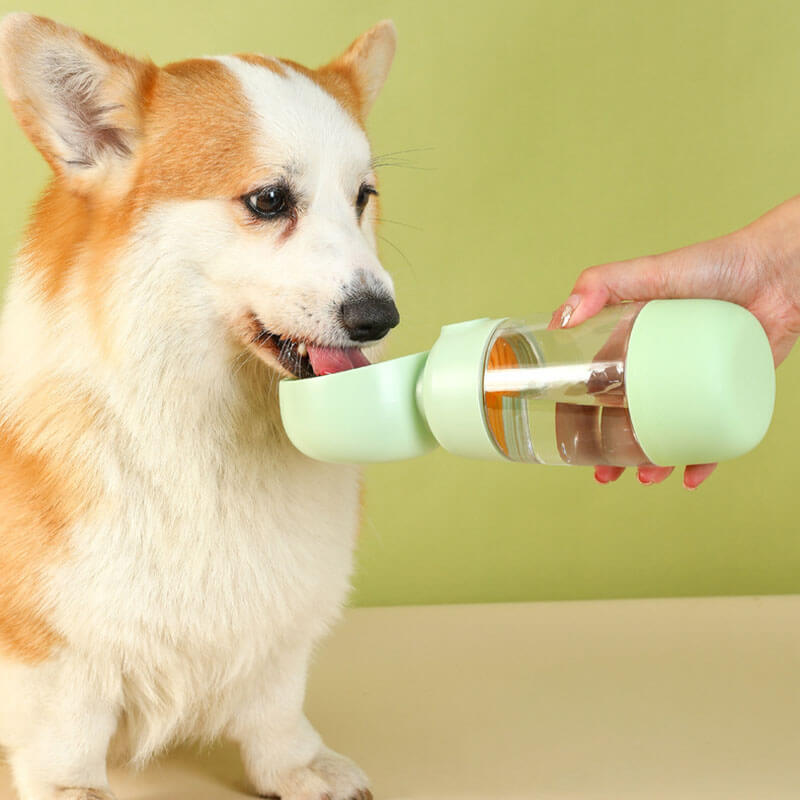 Bottiglia d'acqua per cani portatile 2 in 1 da esterno