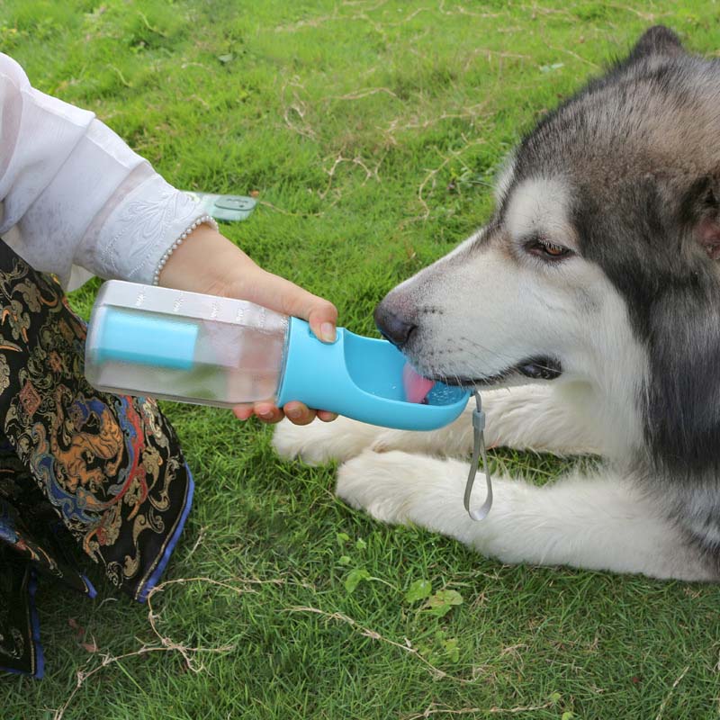 Bottiglia d'acqua portatile multifunzionale 3 in 1 per passeggiate con cane
