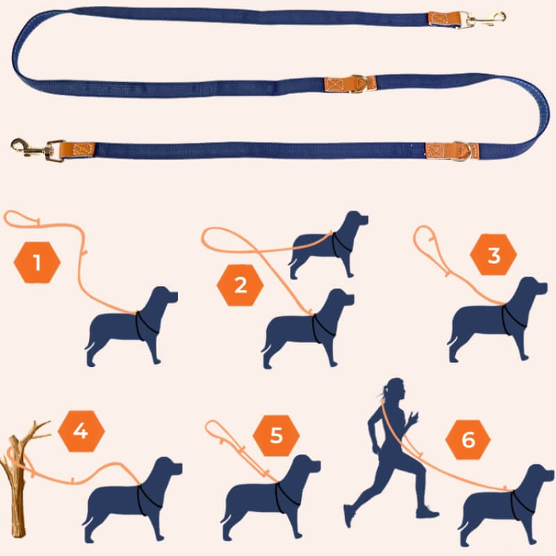 Set di Imbracatura Antisfilamento per Cani
