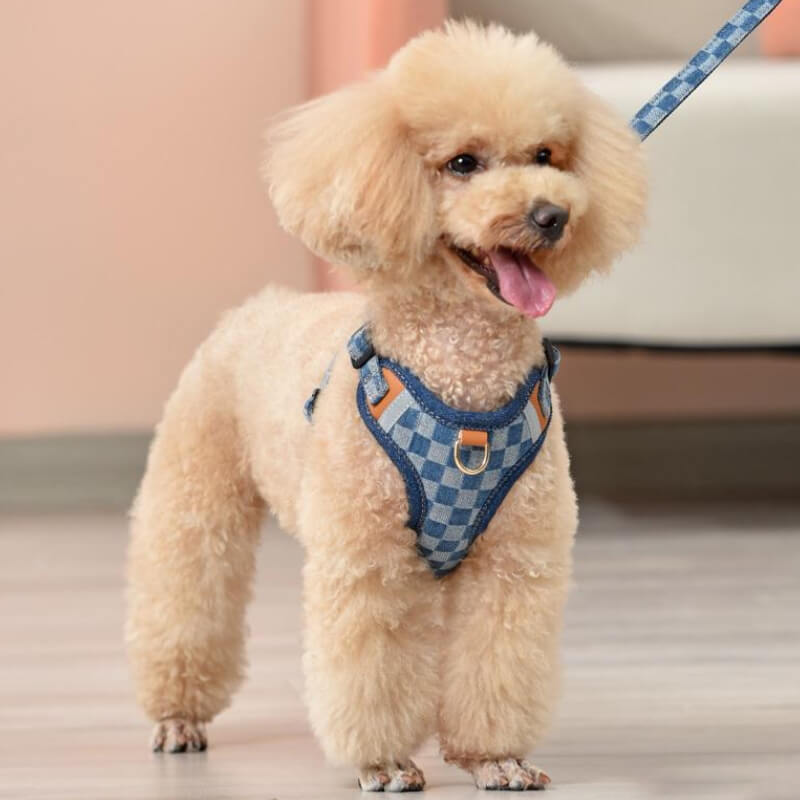 Set di Imbracatura Antisfilamento per Cani
