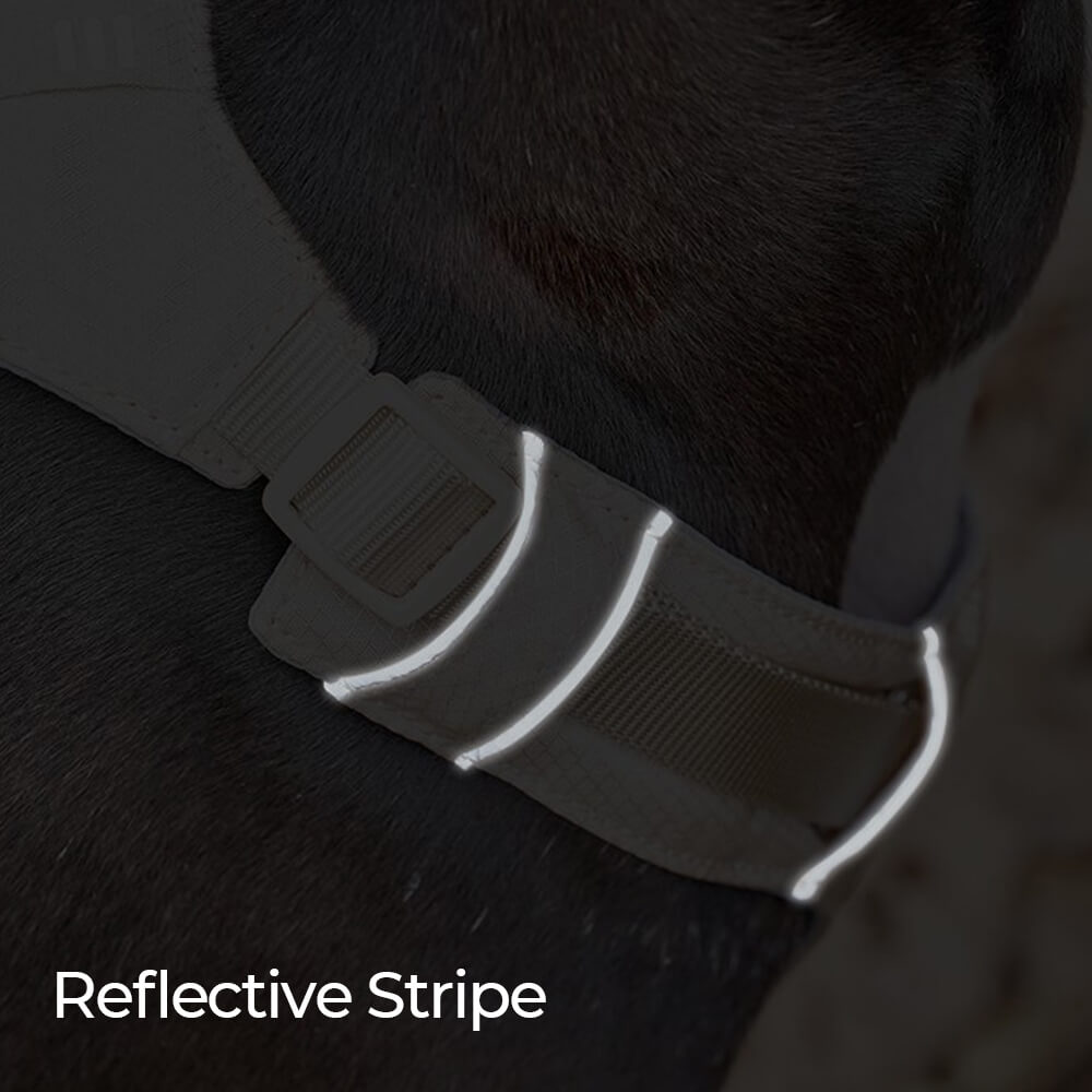 Imbracatura per cani leggera, impermeabile, traspirante e anti-strappo o guinzaglio multifunzionale