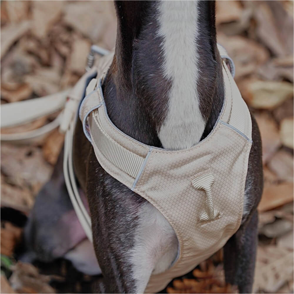 Imbracatura per cani leggera, impermeabile, traspirante e anti-strappo o guinzaglio multifunzionale