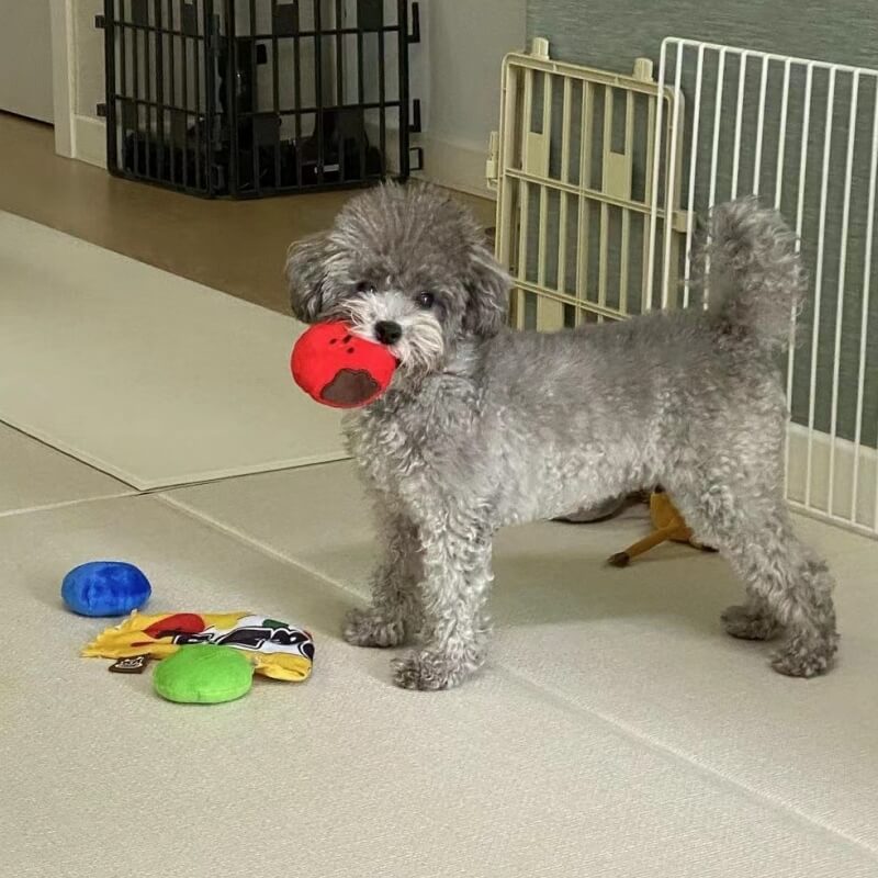 Giocattoli di caramelle in peluche, giocattoli alimentari tibetani, giocattoli per cani.