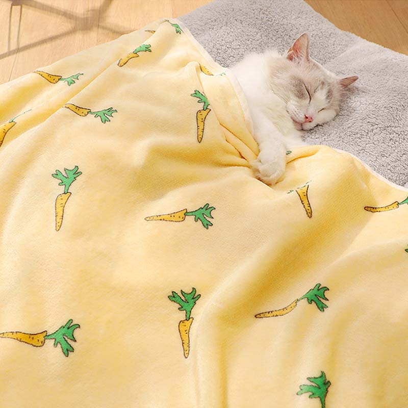 Coperta per animali super morbida per gatto da impastare