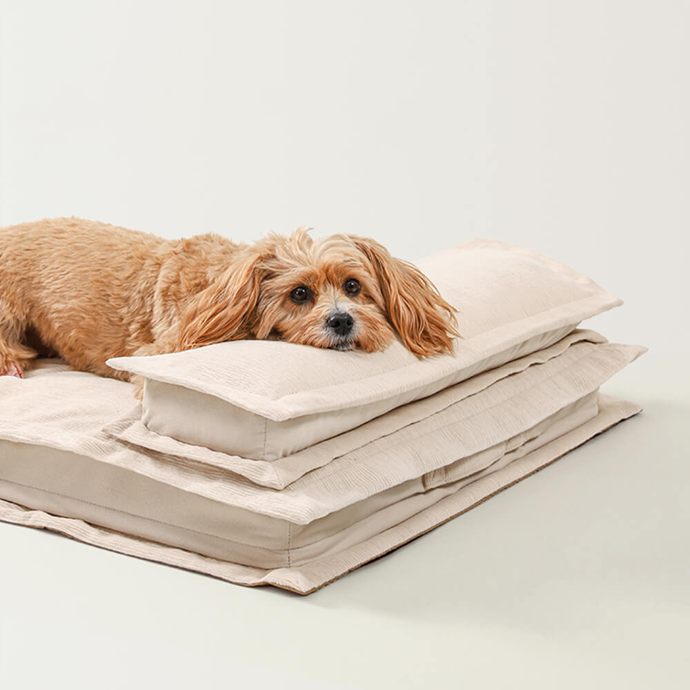 Letto per cani con supporto in spugna per il sonno profondo e anti-ansia