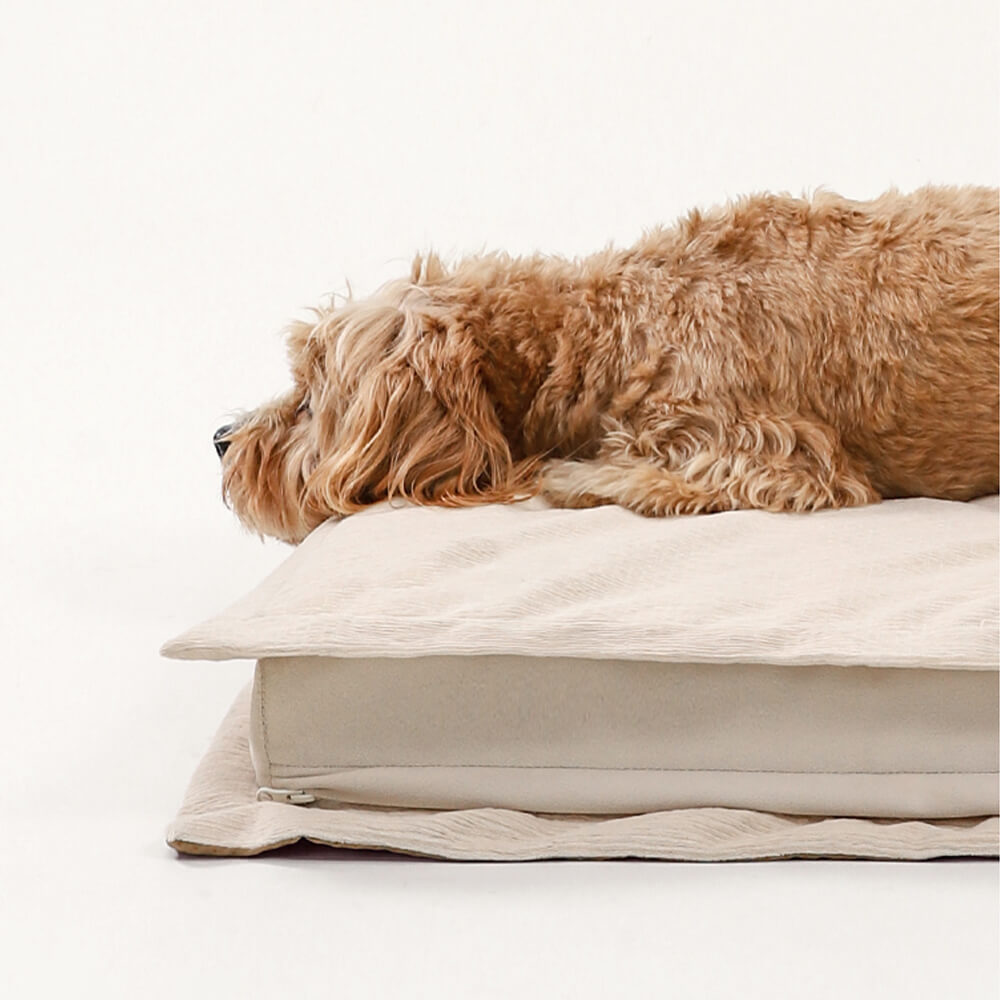 Letto per cani con supporto in spugna per il sonno profondo e anti-ansia