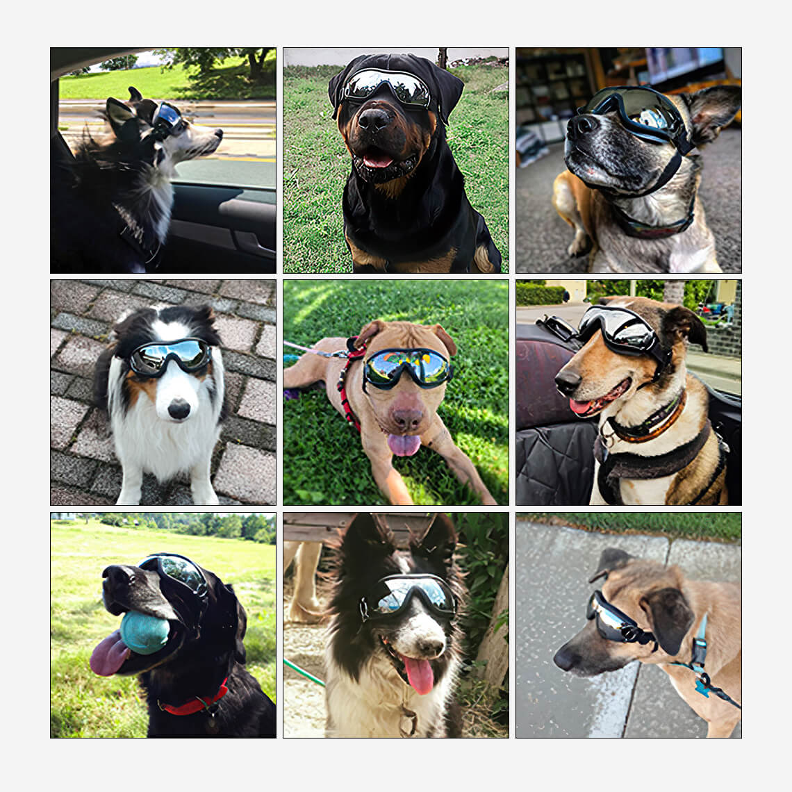 Occhiali per accessori per grandi cani alla moda