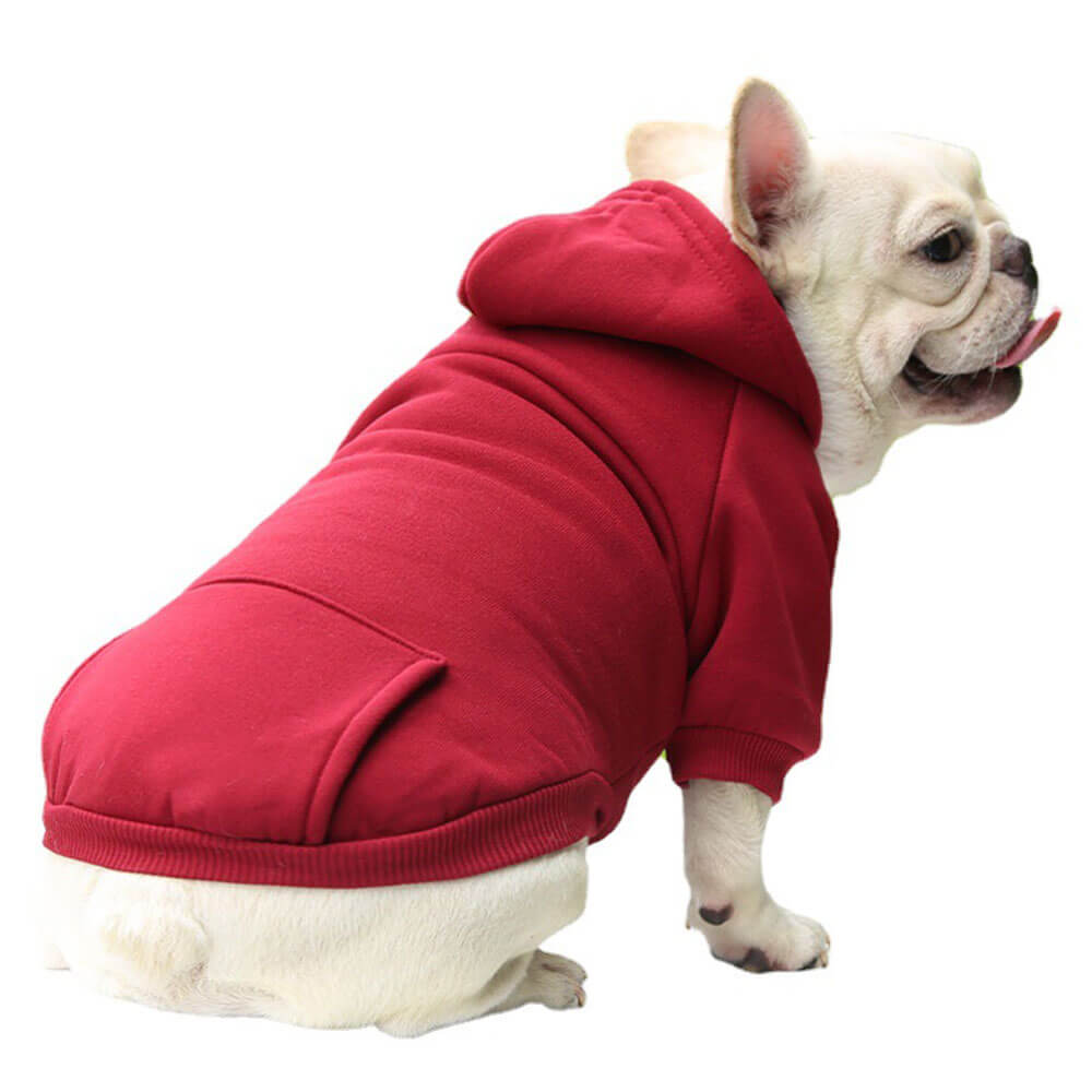 Felpe per cani colorate e accoglienti - Perfette per il comfort in tutte le condizioni atmosferiche