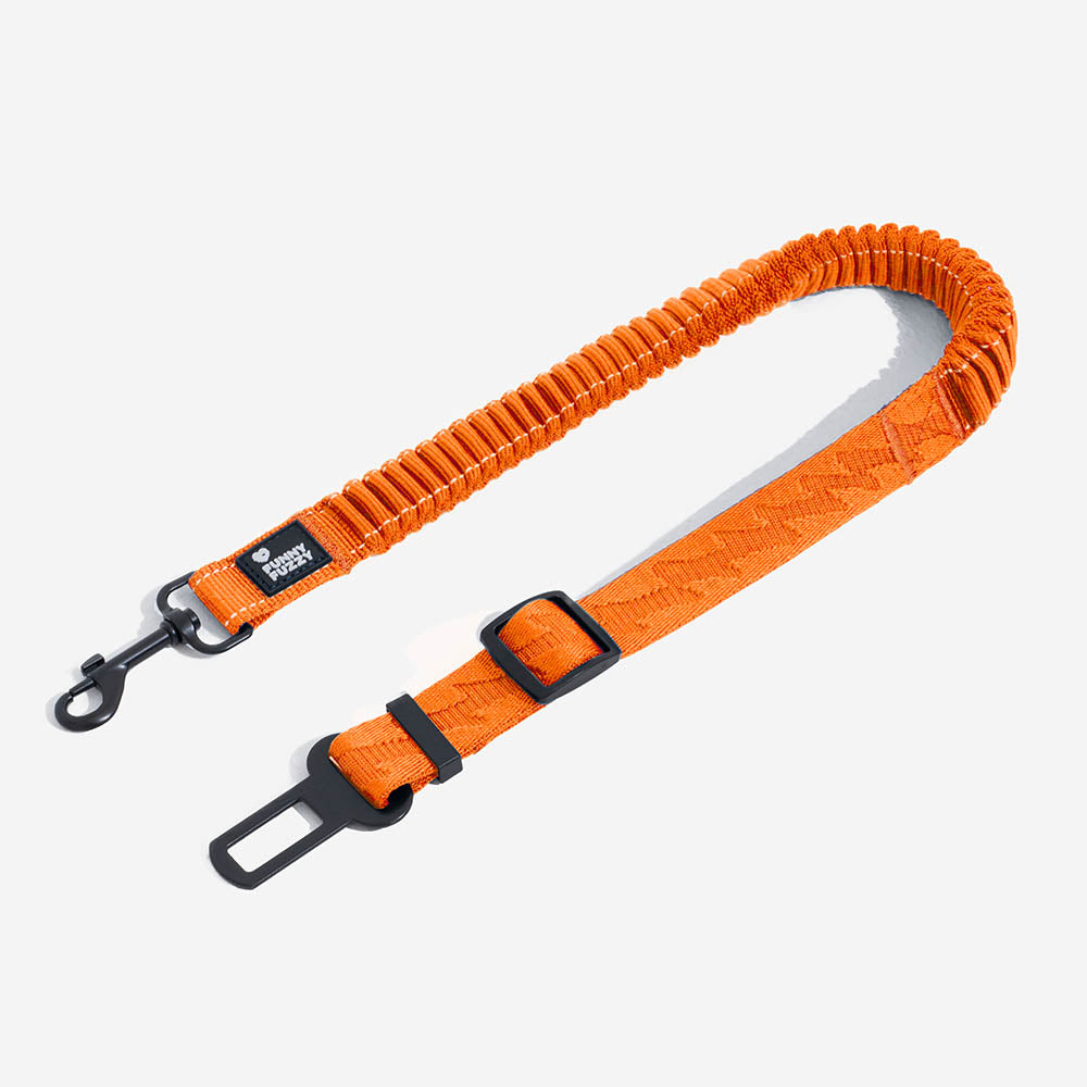 Cintura di sicurezza regolabile per cani freschi accessori per auto