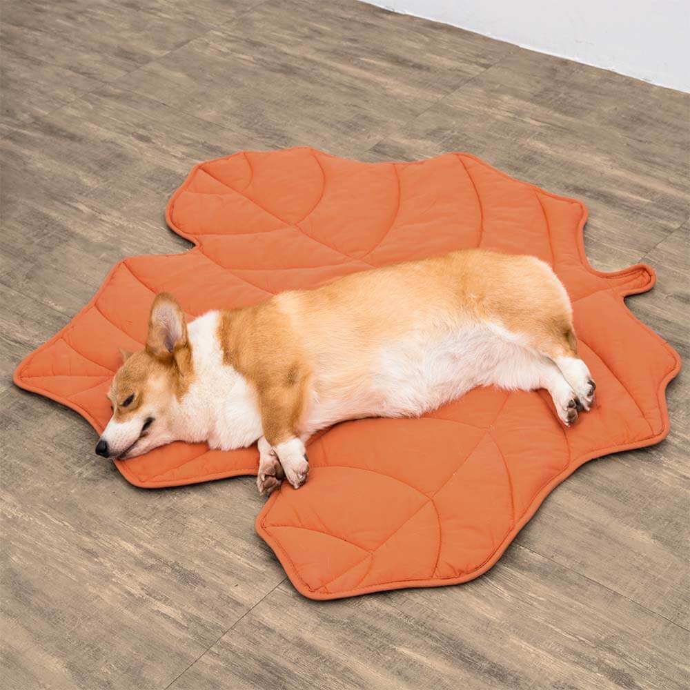 Coperta per cani a forma di foglia