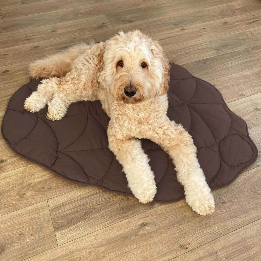 Coperta per cani a forma di foglia