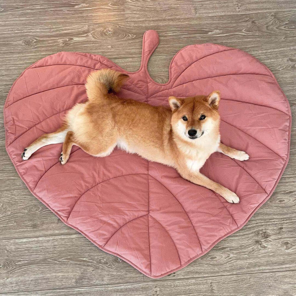 Coperta per cani a forma di foglia