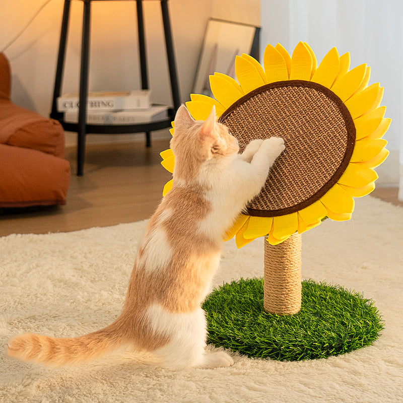 Pannello per graffiare per gatti in sisal a forma di girasole con base stabile in erba.