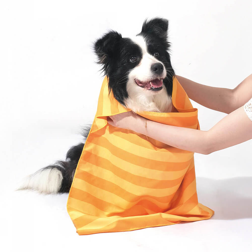 Asciugamano coperta da viaggio per cani ultra assorbente, leggero e ad asciugatura rapida