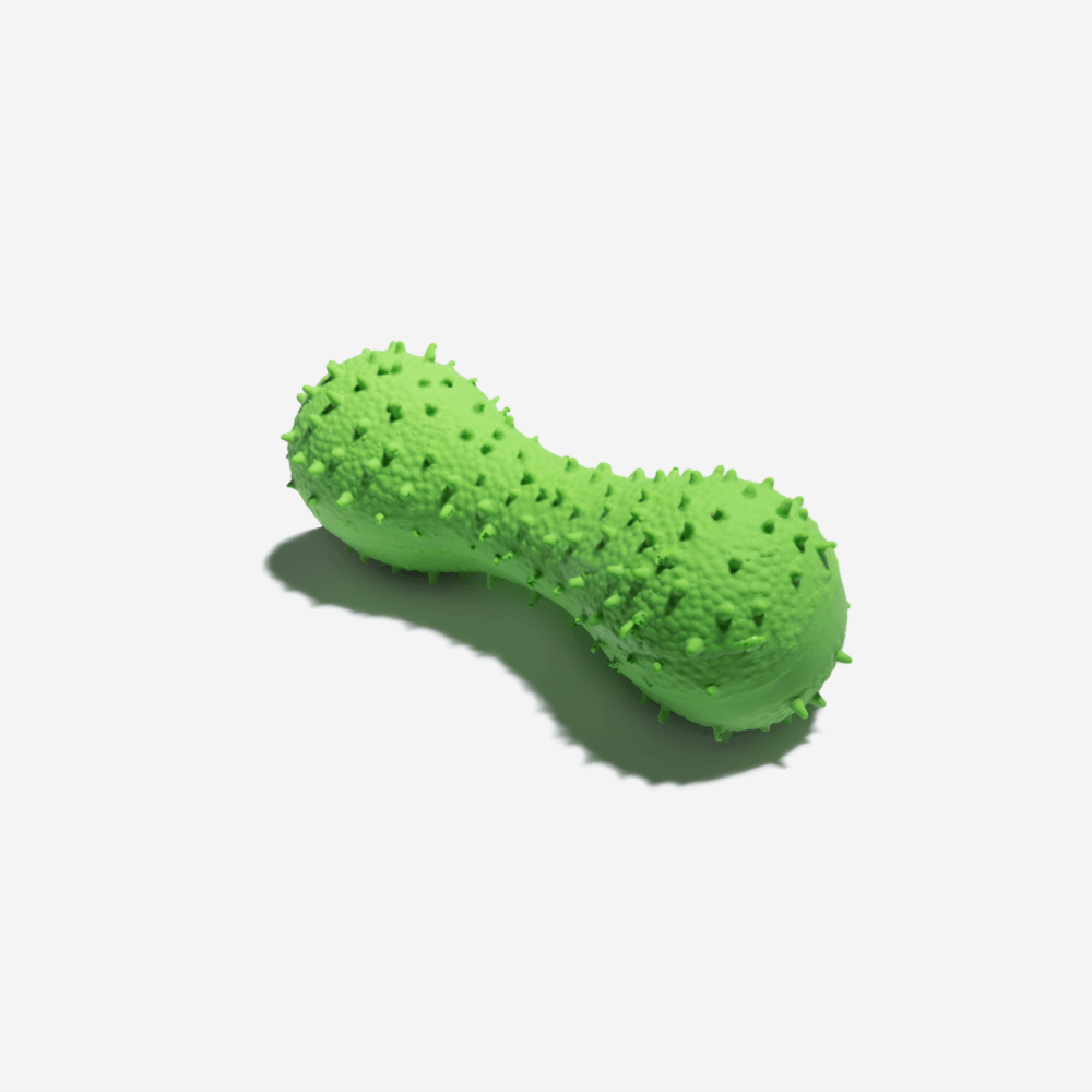Giocattolo per cani a forma di cactus che squeaka