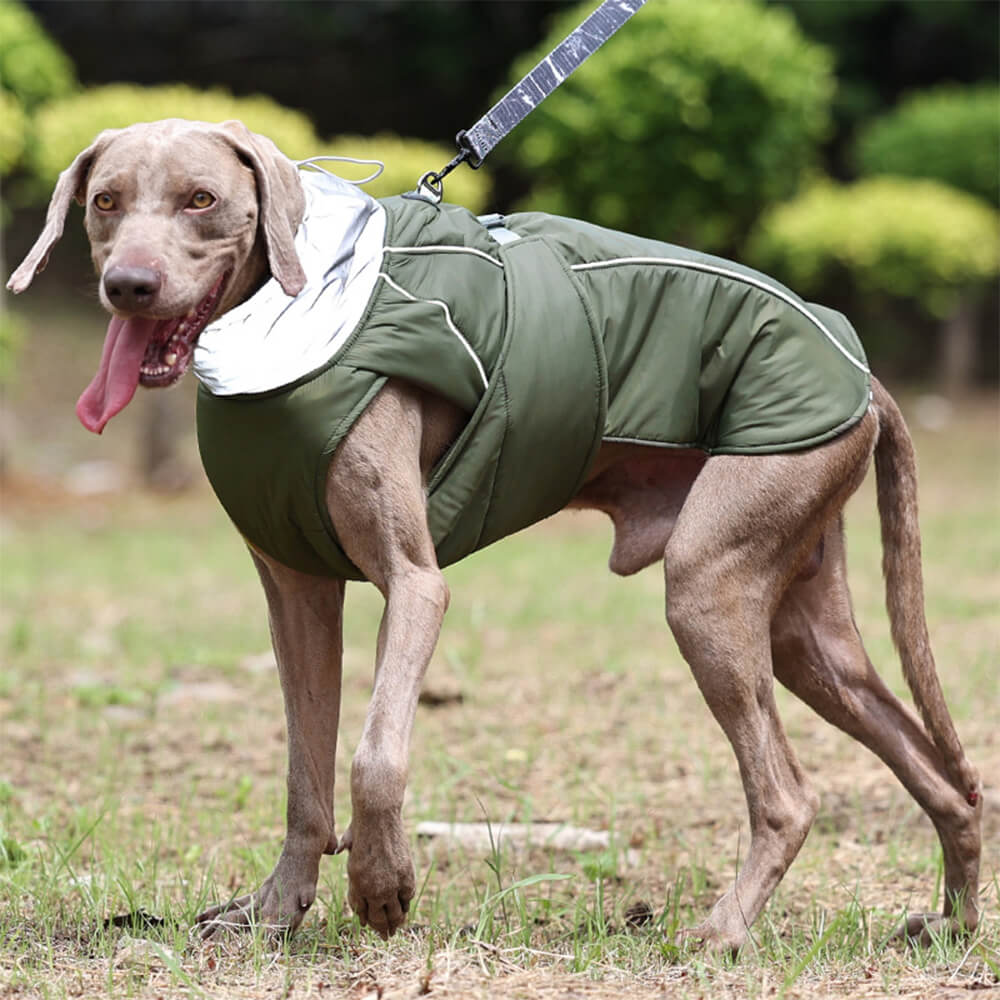 Giacca ispessita riflettente per cani con collo alto, impermeabile e caldo