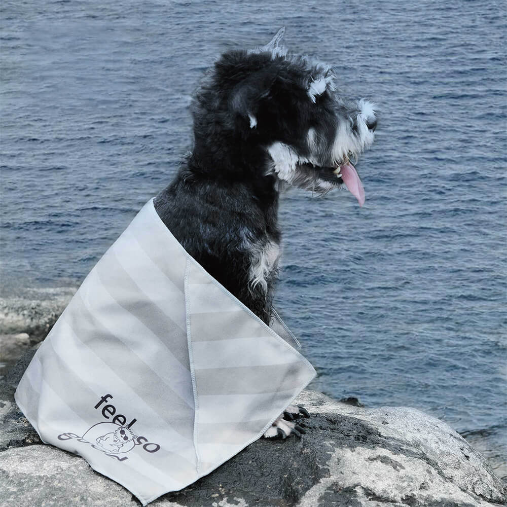 Asciugamano coperta da viaggio per cani ultra assorbente, leggero e ad asciugatura rapida