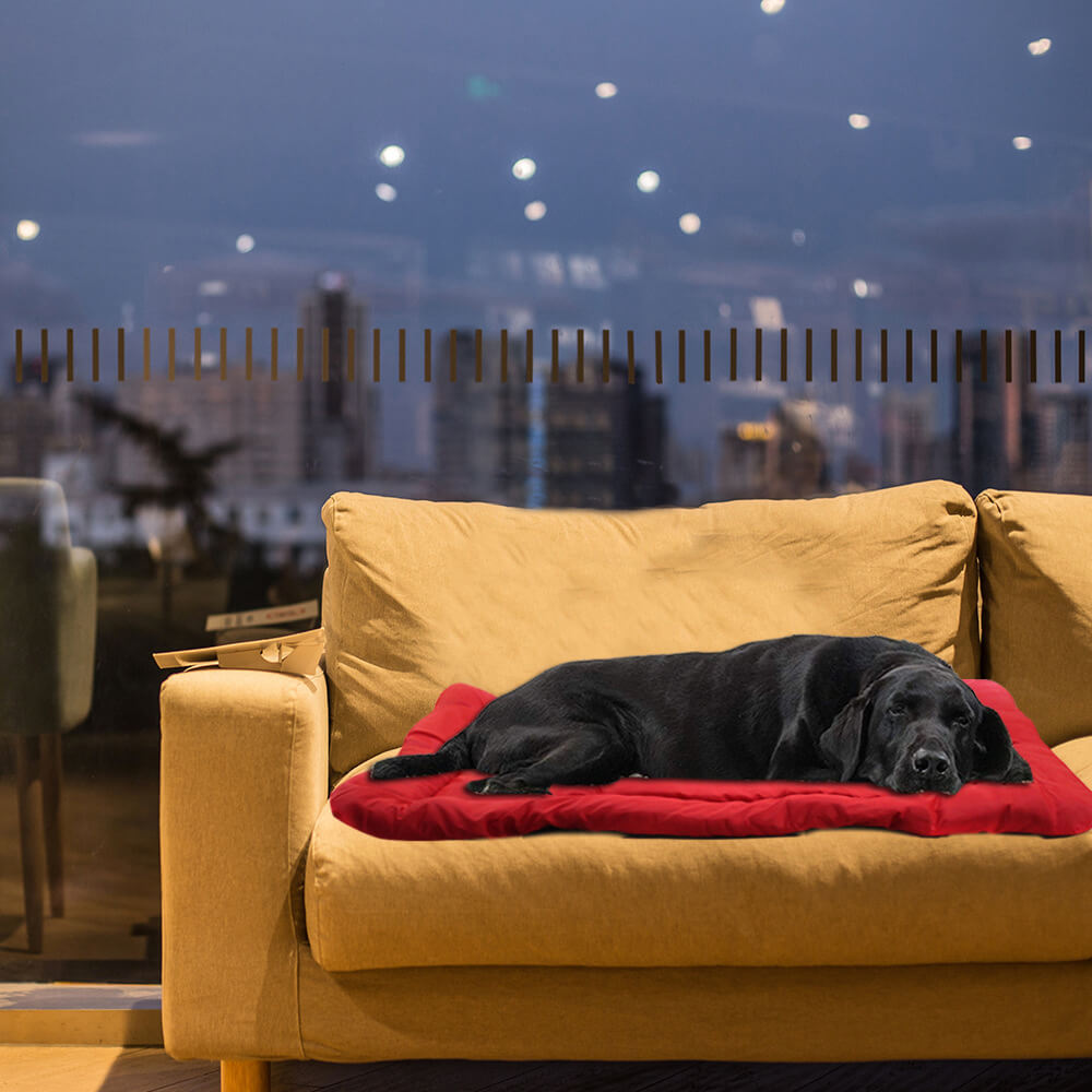 Materassino da viaggio per cani pieghevole, resistente e impermeabile per esterni