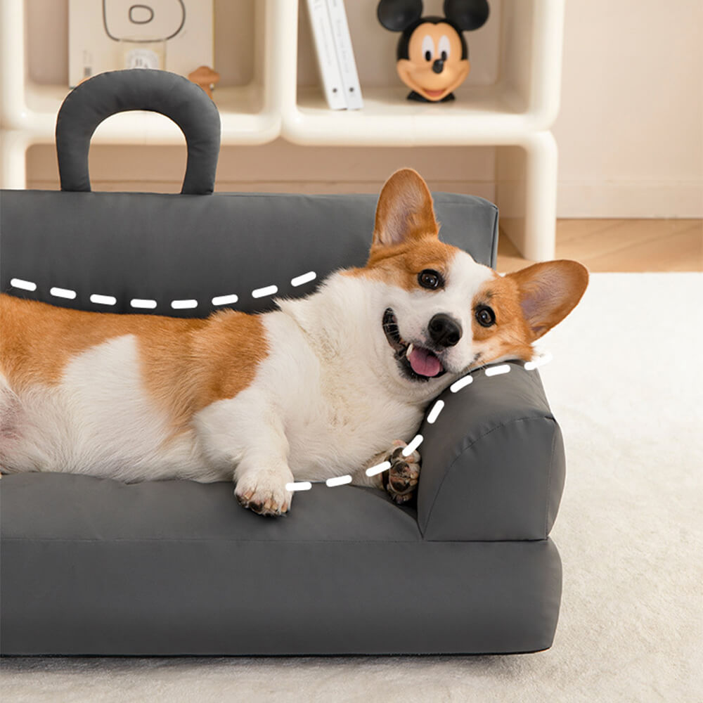 Divano letto per cani e gatti moderno, impermeabile e confortevole con schienale.