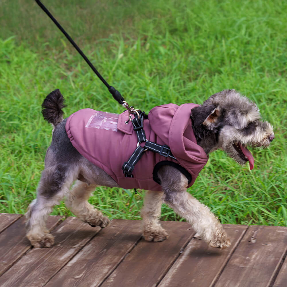 Adjustable Insulated Cozy Hooded Dog Harness Jacket