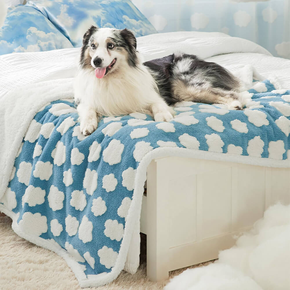 Coperta per cani Sherpa multifunzionale impermeabile con pelo di nuvola