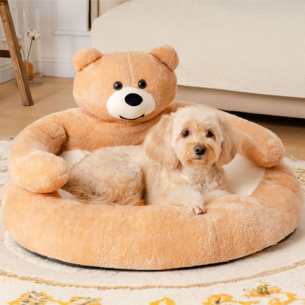 Letto per gatti a forma di orsetto, staccabile e coccoloso.