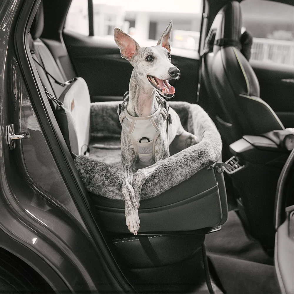 Sicurezza in viaggio: lettino dog car all-season BaseCamp