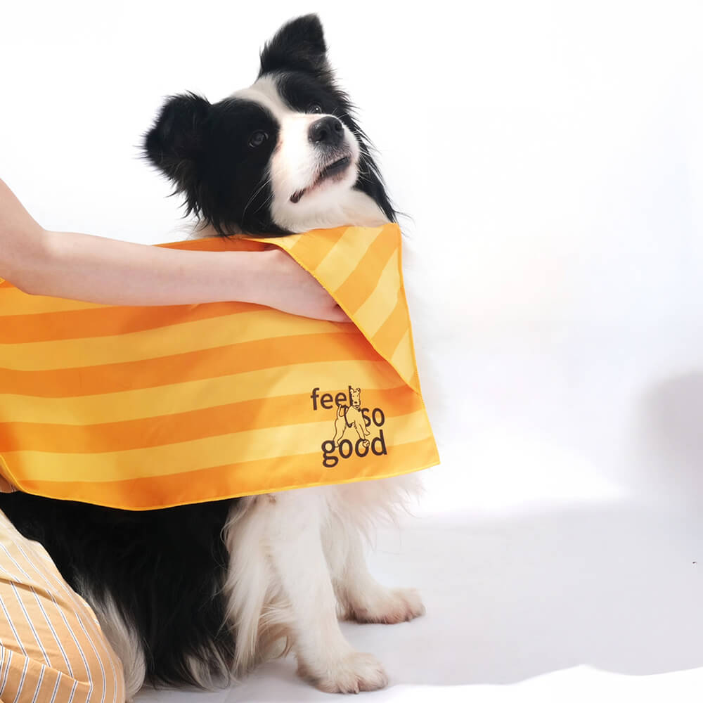 Asciugamano coperta da viaggio per cani ultra assorbente, leggero e ad asciugatura rapida