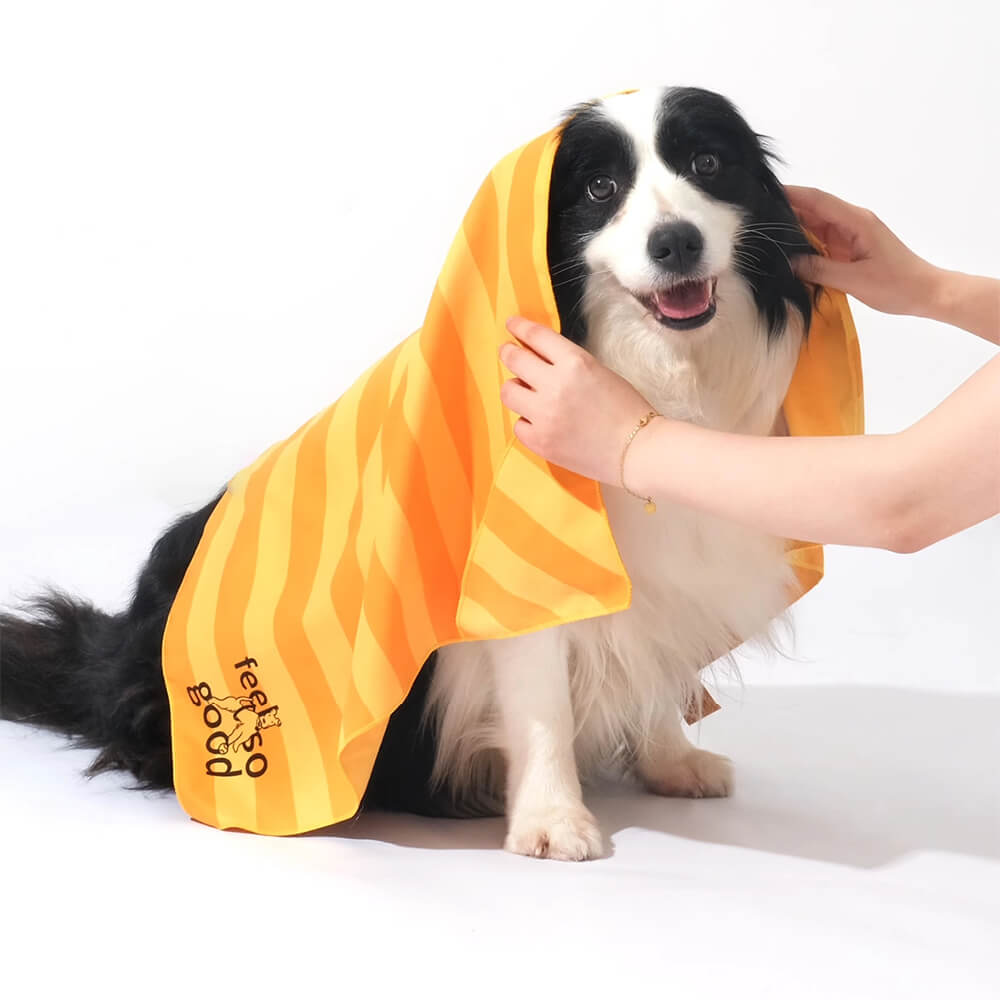 Asciugamano coperta da viaggio per cani ultra assorbente, leggero e ad asciugatura rapida