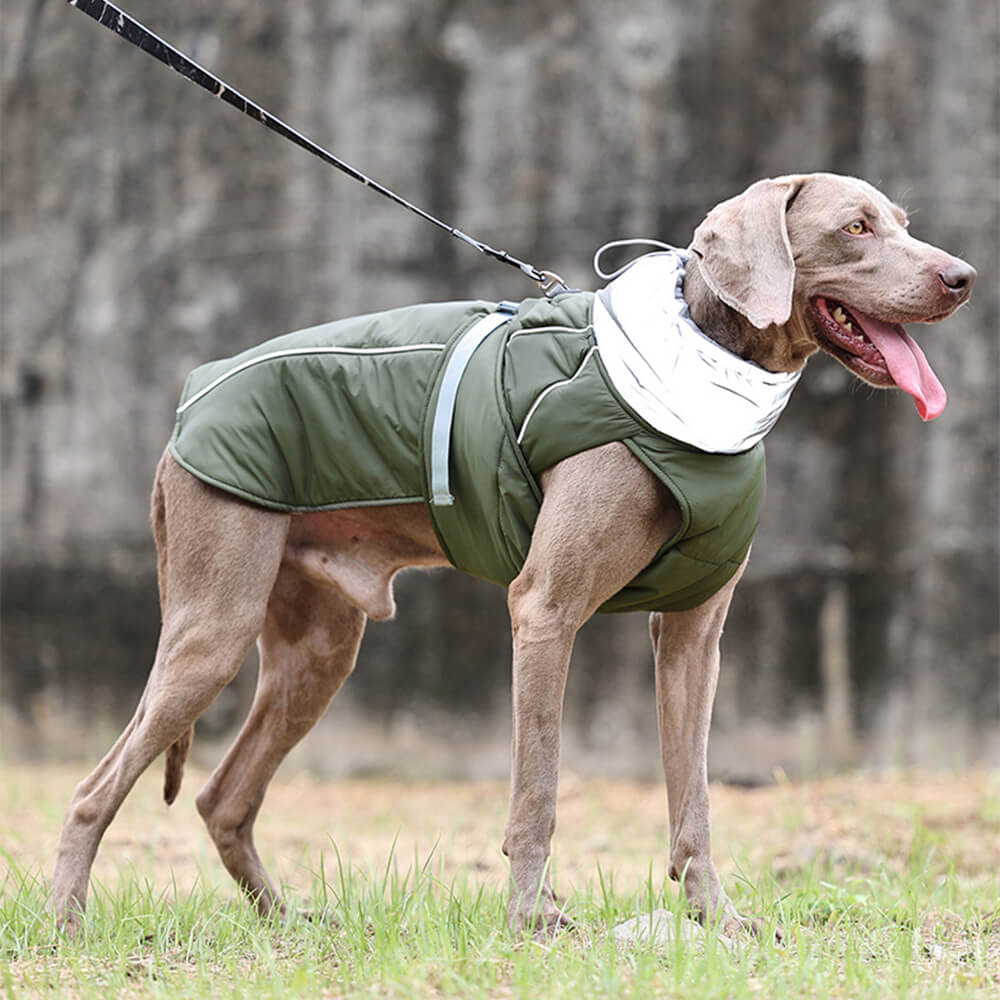 Giacca ispessita riflettente per cani con collo alto, impermeabile e caldo